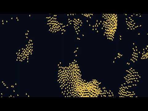 ANIMA：24時間進化する人工生命シミュレーション