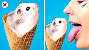 Sneak Pets Like A Pro! TikTok Pet Hacks, Viral Gadget Recommendations & Funny Moments by Kaboom Zoom | Zoom Zoom