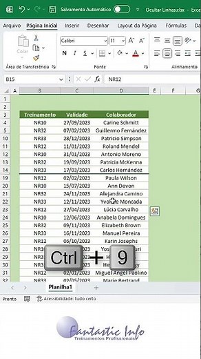 Teclas de Atalho para Ocultar e Reexibir Linhas no Excel