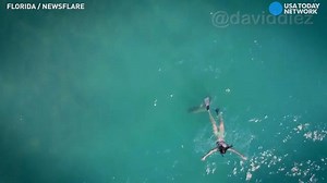 Shark swims directly beneath oblivious snorkeler