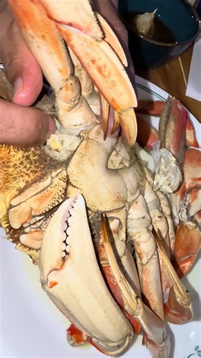 What's The BEST Way to Open Dungeness Crab FAST #howto #dungenesscrab 3shorts