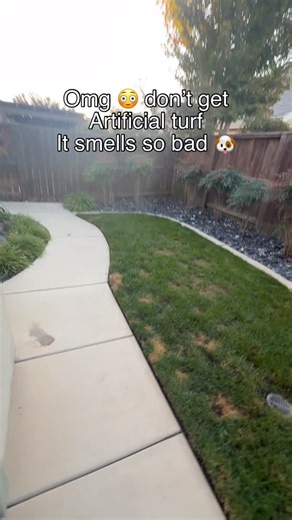 Sheldon’s Artificial Turf Installations on Instagram: "Learn it The most important part when it comes to animals and artificial grass. Is the education and clear expectations. There is some creative ways to build pet systems but without the proper education, understanding, and expectations. The install will fail. and I personally think that’s the number one reason why animals and turf get a bad Rep. Lots of companies, manufacturers, product salesman push this idea of pet friendly turf. There’s n