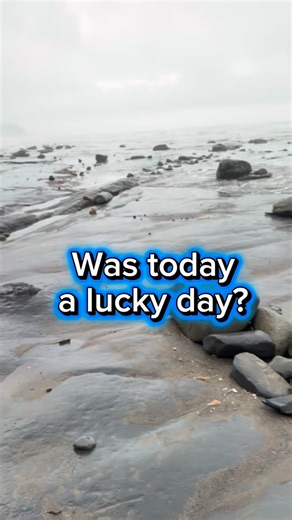 Check out our finds here at Charmouth #fossils #finds #ancient #pov #ammonites | UK Fossils