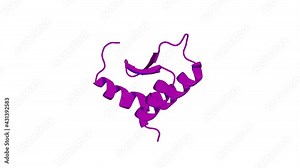 360º realistic 3D rendering of a biological molecule. Structure-based redesign of docking domain interactions modulates the product spectrum of a rhabdopeptide-synthesizing NRPS.