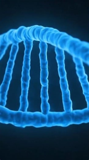 DNA: O Manual de Instruções da Vida