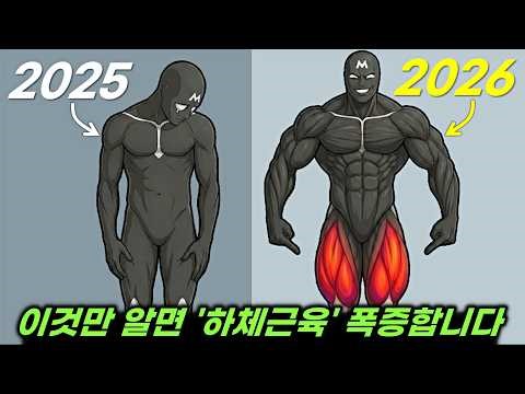 모르면 개손해인 알짜배기 '하체운동' 정보 모음집 (대퇴사두 + 종아리 폭증 비법서)