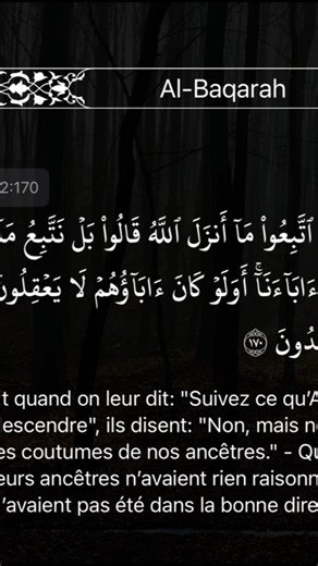 Sourate Al-Baqara 170-171 🕋📖 #souratebaqara #zorintsiverianjara #qurantraduction #france #albaqarah
