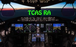 BOEING 787 Dreamliner Alarms, Alerts and GPWS Sounds