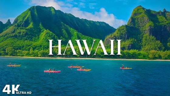 火山からビーチまで ハワイを4K映像で体感