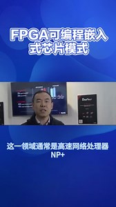 FPGA可编程嵌入式芯片