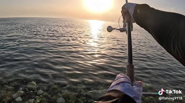 ‏🎣🎣🎣#bahrain🇧🇭 #King #fishing #10kg @xinlong