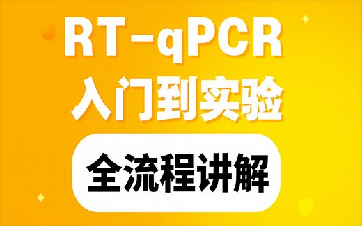 RT-qPCR 的操作流程，实验原理，零基础医学小白必修课