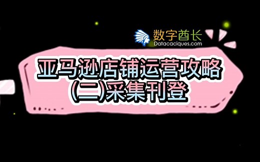 Amazon亚马逊运营攻略-采集刊登指南！数字酋长ERP【快速掌握Amazon亚马逊刊登方法】【跨境电商运营攻略】