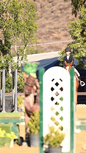 1K views | They might be young, but they’re already top competitors  As a parent, you know how quickly they grow out of everything. Tried makes it easy to keep them looking the part in whatever ring they’re stepping into. Check out our kids collection at our link in bio  | The Tried Equestrian | Facebook