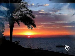 Brunner und Brunner Partymix