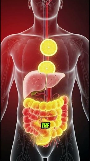 A Simple Morning Routine That Changes How Your Body Works. #healthtips