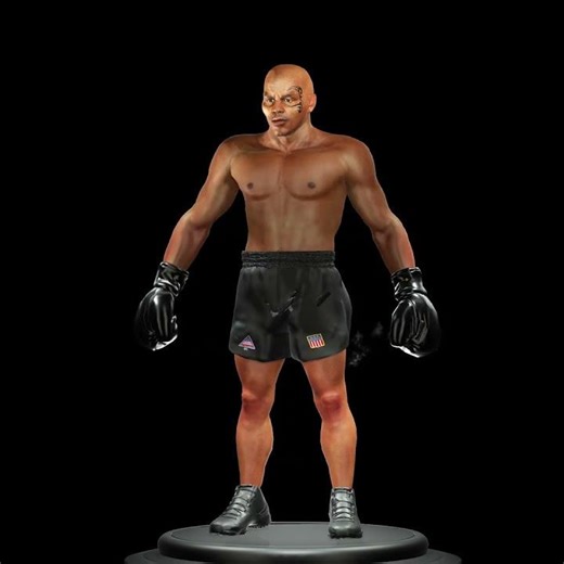 Tython Boxing Pack - 2000 Tyson