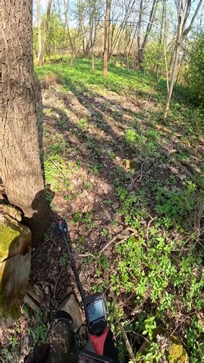 Stash was full of money 🤑 Live stream finds | X Findss