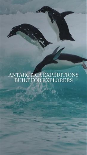 Discover Antarctica aboard the National Geographic small-ship fleet. See all itineraries. | Lindblad Expeditions