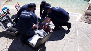 'Everybody wants that miracle': Survivors of near-drownings face tough road to recovery