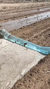 30K views · 719 reactions | tik tok | cartoon cartoon | gana | #tiktok | #viral | #shortsvstiktok | #youtubeshorts #maikalyt @maikal__yt | Maikal YT | Facebook