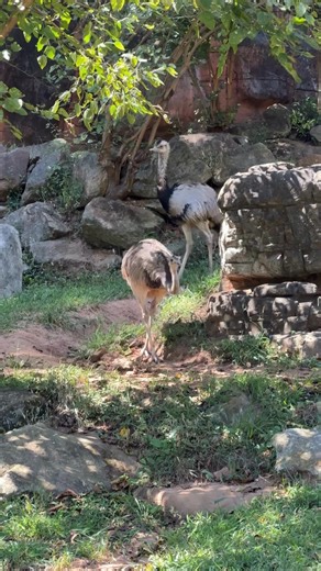 27 reactions | Our senior Visual Arts Govies visited the Greenville...