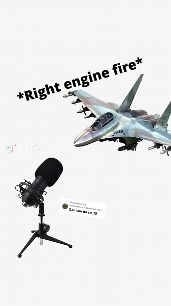 SU-30 ASMR Experience: Cockpit Insights and Edits