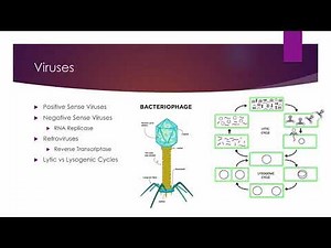 Road to Success MCAT Test Prep: Biology: The Cell