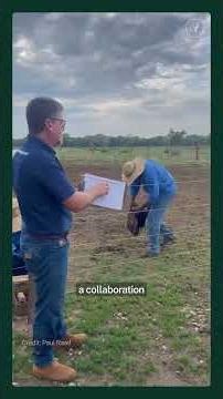 Can electric fences keep jaguars away?