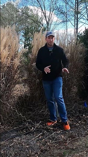 Save TONS of Time With this Pruning Hack!!