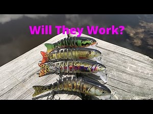 Amazon Lure Fishing Challenge! Will This Lure Catch Bass?