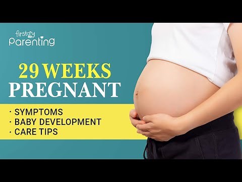 29 Weeks Pregnant - Symptoms, Baby Growth, Do's and Don'ts
