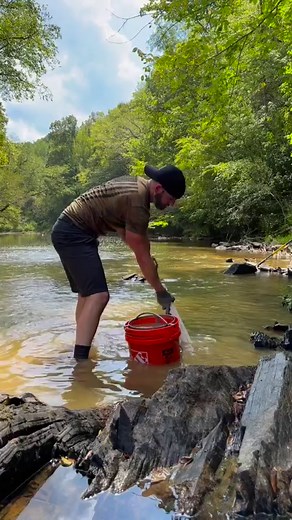 1.8M views · 4.4K reactions | Gold Prospecting with the Dream Mat Sluicebox #gold #goldprospecting #oro #mining #goldmine #goldmining #treasure #minerals #outdoors #panning #panningforgold #goldpan #goldpanning #golden #sluice #paydirt | X4Prospecting | Facebook