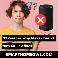 12 Reasons Why Alexa Doesn’t Turn On   12 Fixes (2023)