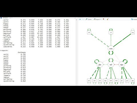 Testing full structural equation model using Lavaan (see linked text file under video description)