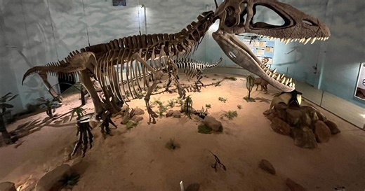 Férias das crianças? Um mapa completo de onde ter um dia de ‘Jurassic Park’ em SP