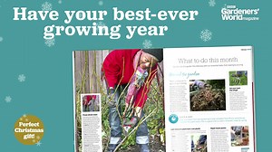 1.8K views · 45 reactions | Make plans for your best-ever gardening year with our 132-page special edition, Year Planner 2022. Discover monthly star plants, advice for growing fruit and veg, planting techniques everyone can master, plus there’s space to make notes. Perfect gift for a gardener! Available in shops now or buy online here bit.ly/GWGYP22FB | BBC Gardeners' World Magazine | Facebook