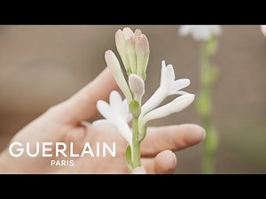 pub GUERLAIN  Aqua Allegoria Florabloom: The Tuberose Harvest