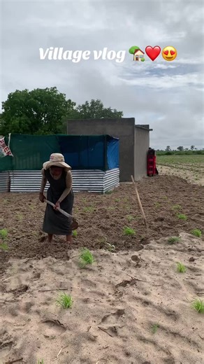 Explore a Day in My Namibian Village Life