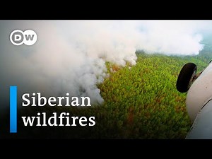 Massive wildfires in Siberia fueled by record heat | DW News