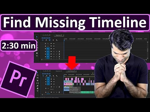 Find Your Missing Timeline Premiere Pro