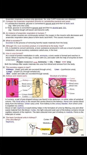 class 9 biology special notes for Christmas
