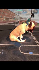 Drag 🐶#drag #speed #dragracing #tuningcars #tuningclub #tuningclubonline #zeon