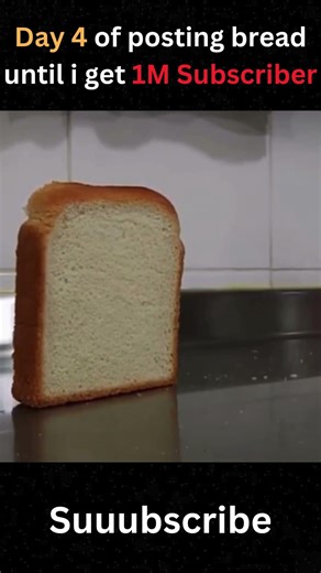 Day 4 of posting bread falling meme until i get 1M subscriber