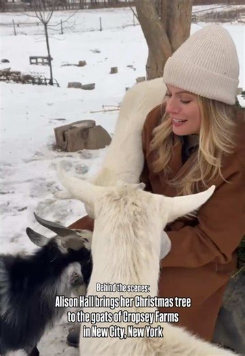 The time has come for many to get rid of their Christmas trees. Inside Edition's Alison Hall decided to feed her tree to the goats at Cropsey Farms in New City, New York. On average, each goat eats one tree a day including the needles and bark. If you're wondering what to do with your tree as the holiday season comes to an end, try this out. Additionally, many municipalities have drop off areas for recycling. Depending on where you live, you can put your Christmas tree on the curb and the sanita