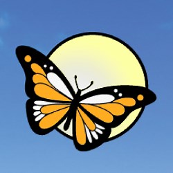 Near North Palliative Care Network