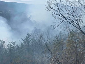 Wildfire latest: Wears Valley Road reopens, more than 300 structures affected