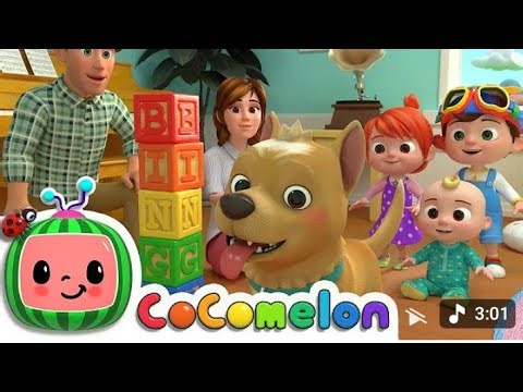 "Meet Bingo: The Dog with the Most HILARIOUS Reactions! 🐾😂"