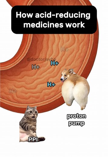 Understanding PPIs and H₂ Blockers in Medicine