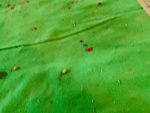 92K views · 3.4K reactions | On demand!!! This was our performance in Sangeet night at wedding of my brother in law… Was getting many requests from followers to upload full video.. So here’s it.. | TUTU CAKES | Facebook